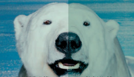 lehu - 乐虎 -(88国际)唯一官方网站